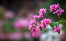 一个人最大的内耗：用自己的短板去赚钱