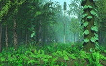 2.5亿年前一场“森林倒塌”，如何演变成全球性灾难