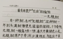 挑战抄全书《世界之最》第一百零五天