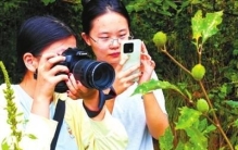 走，上山采药去！