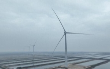 全球最大！26兆瓦级海上风电机组在山东并网发电