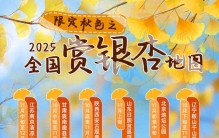 收藏！全国银杏观赏地图来了