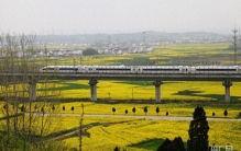 发现最美铁路丨铁龙穿梭，织就粤东最美画卷