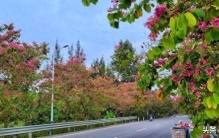 真正厉害的人，都养成了这5个“向下扎根”的习惯