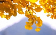 这段话，一辈子很难写出来，抄下来，受用一生