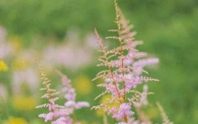 你越坚定做自己，你得罪的人就越多。因为，你自成一派本具自足