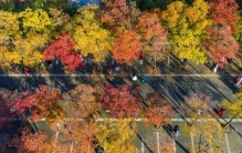 秋天里，捡拾落叶的正确方式……