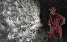 全球最大的蜘蛛网栖息着11万只蜘蛛 在完全黑暗的环境中繁衍