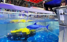 进博会中国馆570件展品为历届之最，亮出科技创新“成绩单”