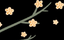 小鸟是怎么爱上元宝枫的？