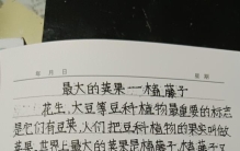 挑战抄全书《世界之最》第121天