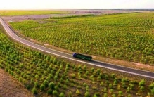 风沙线上，写下青绿诗行