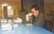 “工业牙齿”与新兴产业“咬合”越来越紧密（经济新方位·新产业里的传统力量）