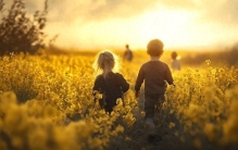 光鲜背后的阴影：一个明星的秘密人生