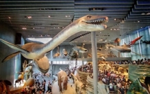 探索宇宙的奥秘：：从地球到星际的奇幻旅程