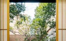 庭院飘枝植物集合啦，配34张相片！