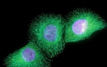 这个已保持二十多年的世界纪录，会一直保持到2050年。你信吗？