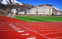 塑胶跑道市场格局生变：十大品牌最新排名分析