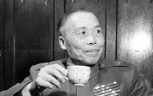 蒋介石的军事水平如何？晚年的李宗仁坦言：顶多偏将之才