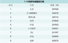 2025年前10个月汽车销量榜单！