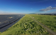 这个世界最大光伏园区，出名的竟是羊