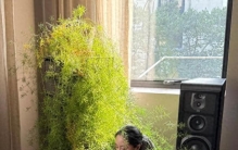 女子因“养2年的花”引围观，植物是会长大的风水，网友：成精了