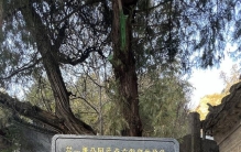 冬日探秘铜川药王山，摩崖造像和石刻艺术的瑰宝