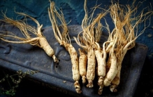 百草之王——人参