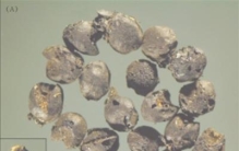 远古先民如何迈出农业第一步？这份“档案”里有答案