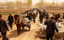 传家宝藏录·其十二：千年赶集路——蕴藏着商业文明的澎湃原力。