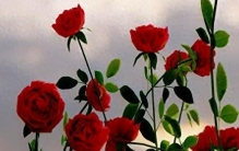 爱情之花——永恒的主题，人类最宝贵最灿烂的灵魂绿宝石