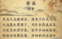 汉语，是世界上效率最高的语言：骄傲到跺脚！