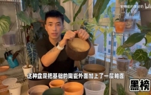 10款网红花盆实测！告别烂根！这样选盆最靠谱