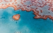 世界上最大、最长的珊瑚礁群-大堡礁