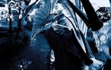 世界最长溶洞竟是黑的？苍野洞景研究院：这才是对自然的敬畏