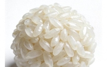 最懂冬天的养生之道，糯米当仁不让。这小小的种子凝聚着植物精华