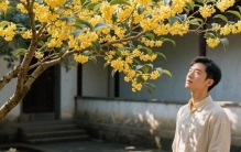 古老秘传，这四种植物灵气充沛，种下，财运必定节节攀升