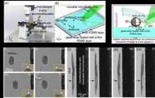 精度超96%！大工“年度”成果，将在《科学》重点展示！