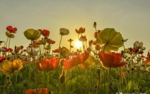 世界上最没用的两件事:第一件是生气，第二件是后悔