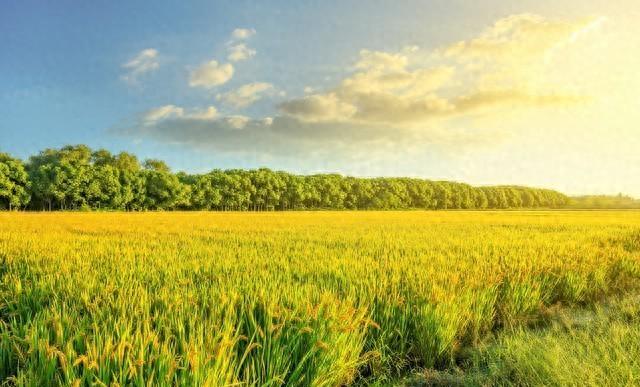 世界上最没用的是两件事:第一件是生气,第二件是这个