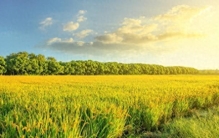 世界上最没用的是两件事：第一件是生气，第二件是这个