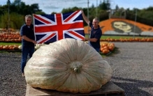 见过用南瓜做的船吗？真可以坐人的那种！没错，最大南瓜再次刷新记录