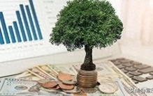 空地别荒着！这9种树，长得慢，但很值钱，一棵能卖上万块