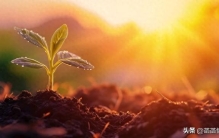 大师不会告诉你！这6个迹象证明你家早就是风水宝地