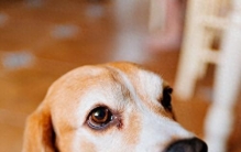 零食排行榜，2025哪些牌子比较好？