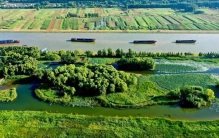 运河新韵丨千年大运河变身“绿色长廊”