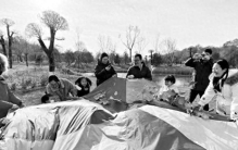 在寒风中飘落的树叶是麻烦还是资源？每年520万吨枯枝落叶去哪了