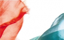 钱塘江丨布的突围