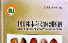 凝驻生命微迹，贯通科学之眼——植物种子博物绘图的多维科学价值