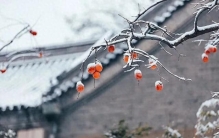 我为什么记住了冬至？“家里还有你阿嫲”